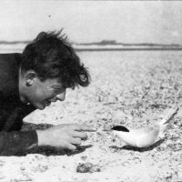 Blakeney Point. Teddy Eels Blakeney Point Warden